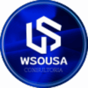 Wsousa Gestao e Consultoria